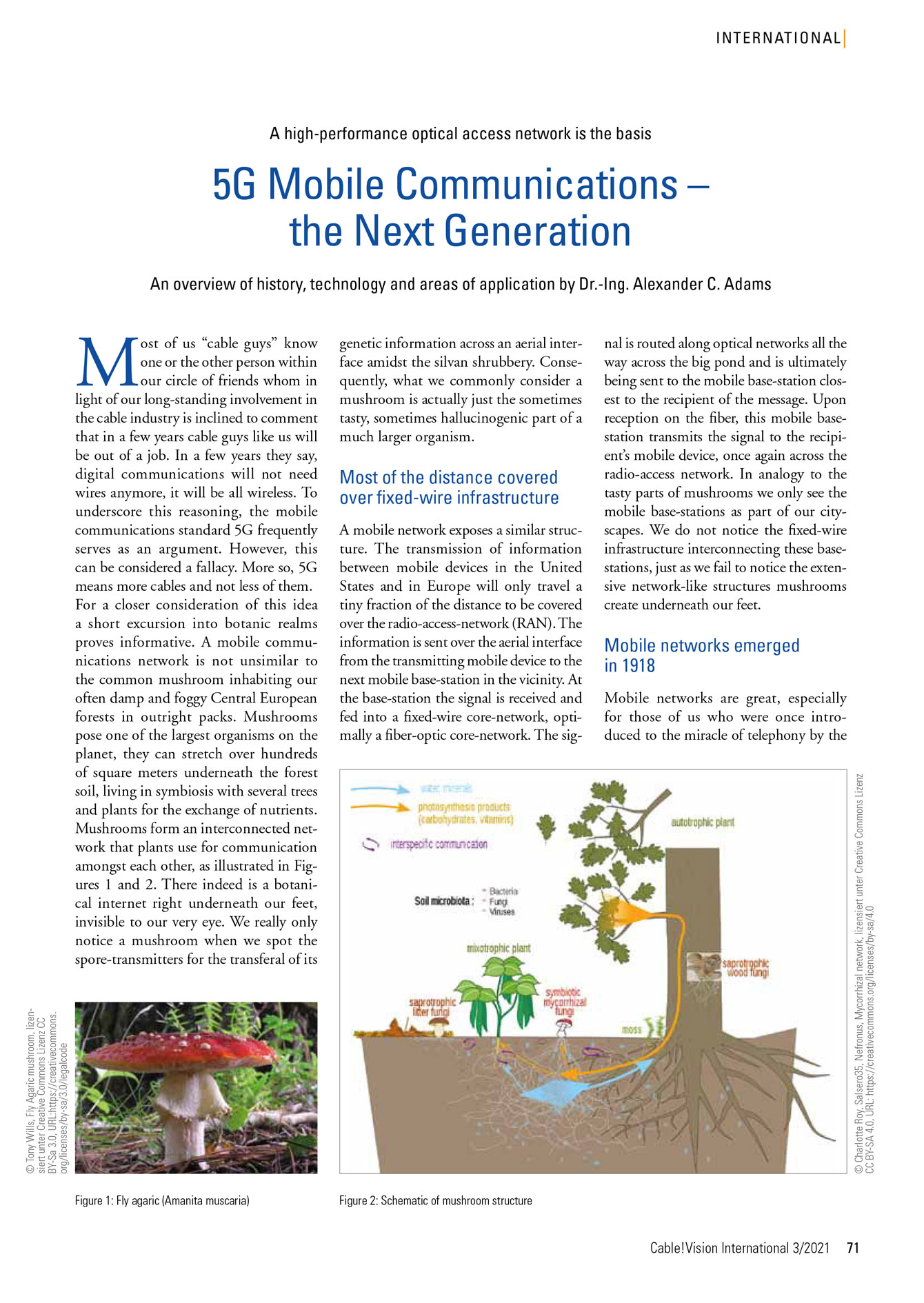AXP SYSTEMS ENGINEERING - Cable!Vision 3/2021
